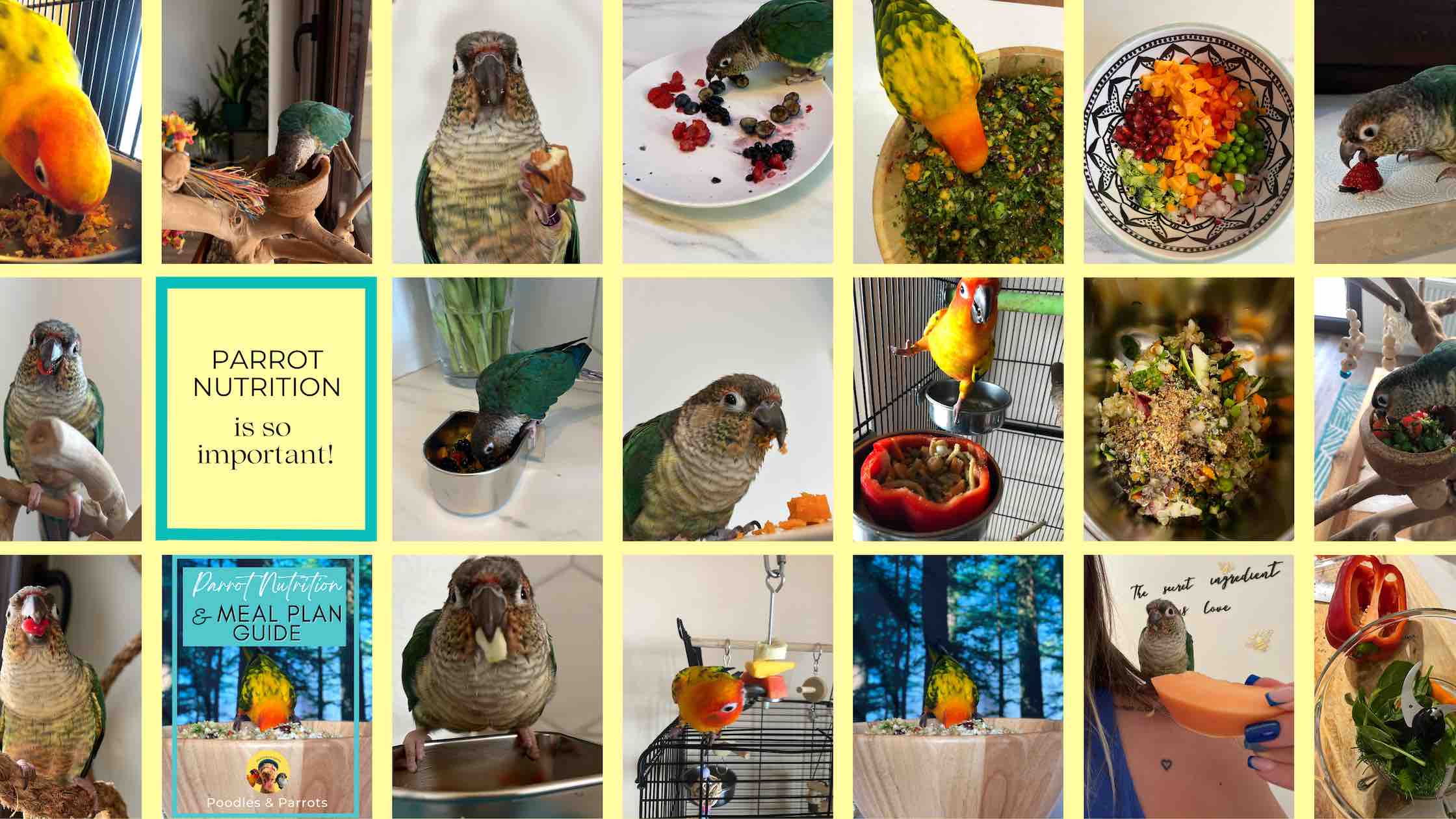 Read our Latest Blog