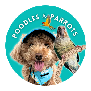 Poodles and Parrots Logo