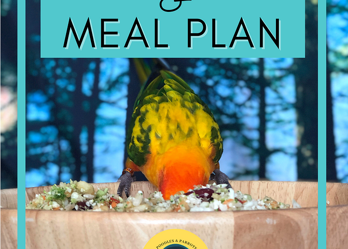 Cover for Parrot Nutrition & Lifestyle