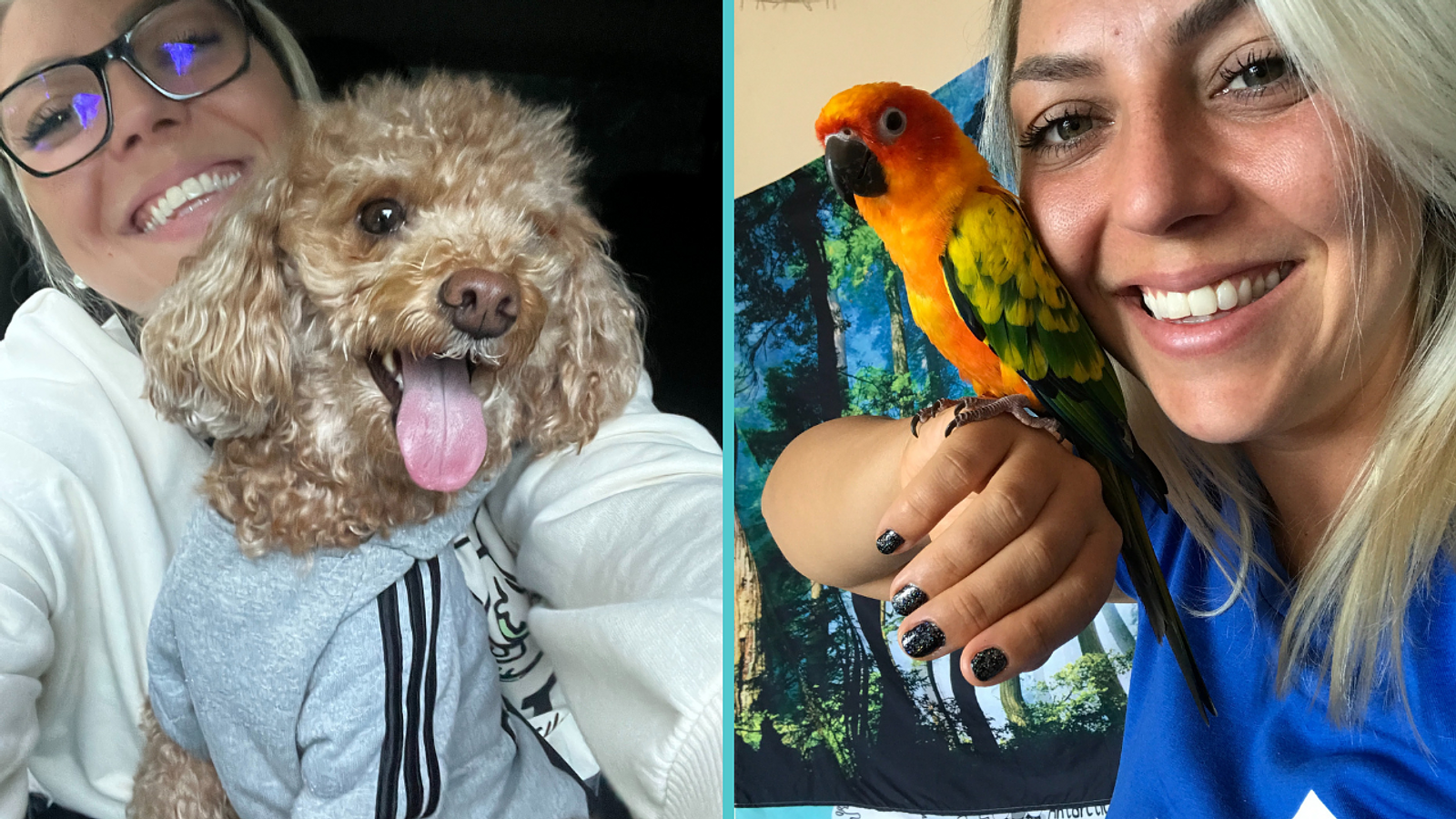 Cover for Managing Time with Multiple Pets: Tips for Meeting the Needs of Your Dog and Parrot