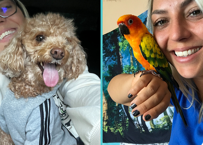Cover for Managing Time with Multiple Pets: Tips for Meeting the Needs of Your Dog and Parrot