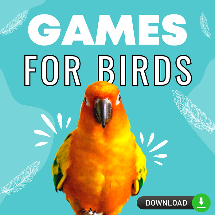 Cover for Fun Games for Birds