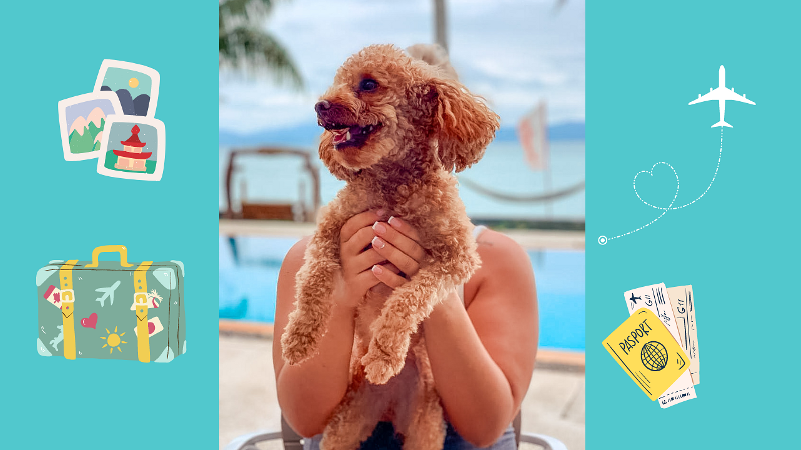 Cover for Top 5 Dog-Friendly Destinations: Explore the Best Pet-Friendly Cities Around the World with your Dog!
