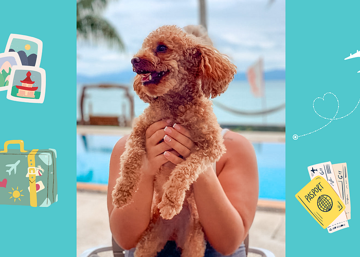 Cover for Top 5 Dog-Friendly Destinations: Explore the Best Pet-Friendly Cities Around the World with your Dog!