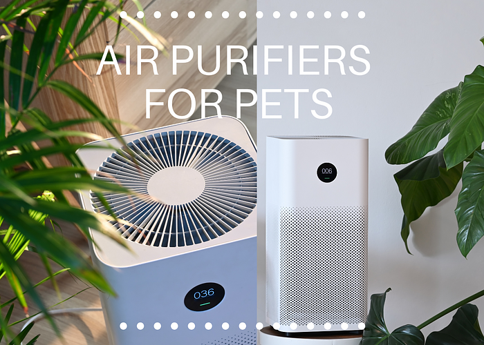 Cover for Clearing the Air for Parrot Health: The Benefits of Air Purifiers