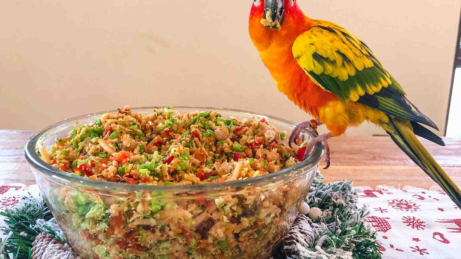 Cover for Christmas Chop For Parrots
