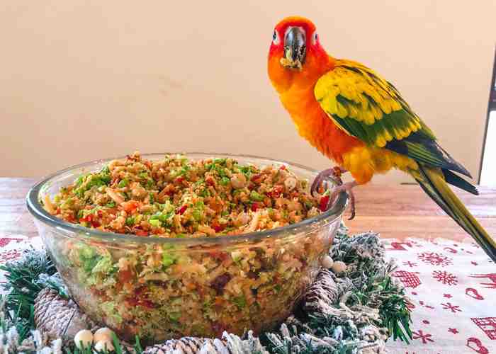 Cover for Christmas Chop For Parrots