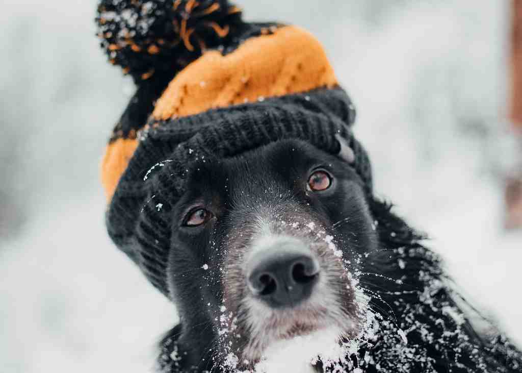 Tadeusz-lakota-ev iplkhwgq-unsplash