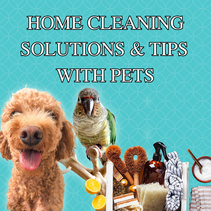 Cover for Safe Cleaning Solutions for Pets