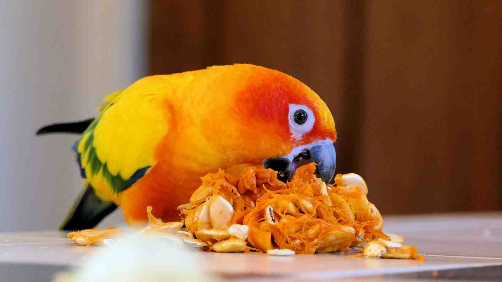 Cover for Safe And Toxic Foods List For Parrots