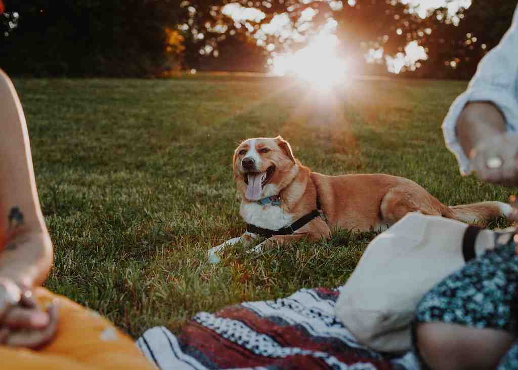 Alyssa-graham-hmjkop4as9a-unsplash