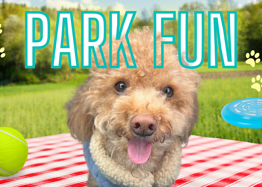 Park