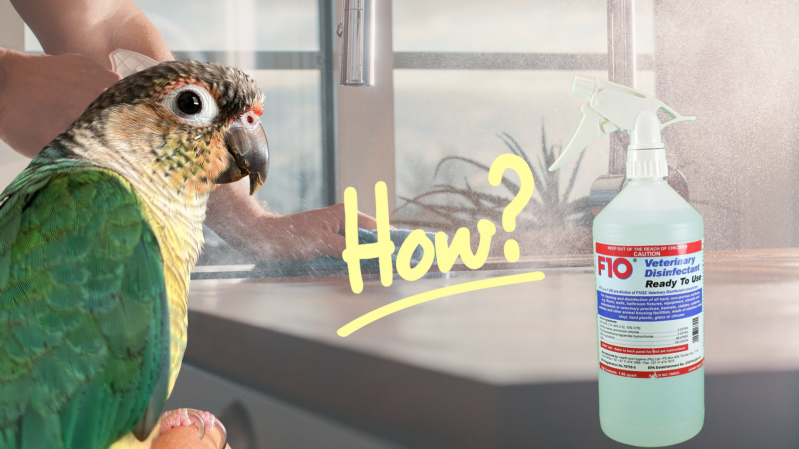 Cover for How To Use F10 Ready to Use Spray Cleaner