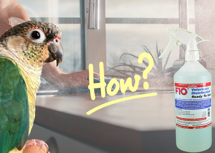 Cover for How To Use F10 Ready to Use Spray Cleaner