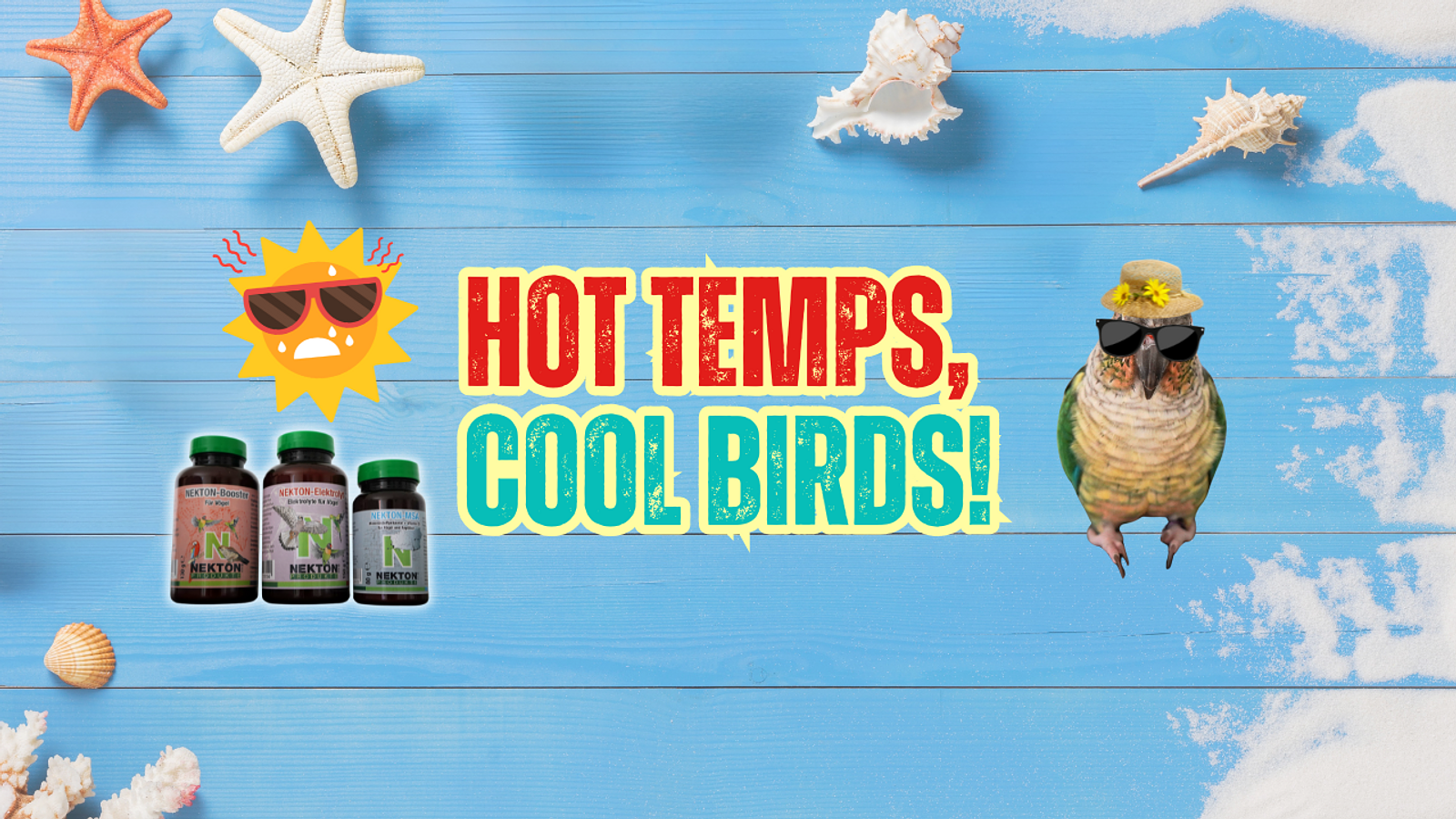 Cover for Protect Your Birds from Summer Heat 