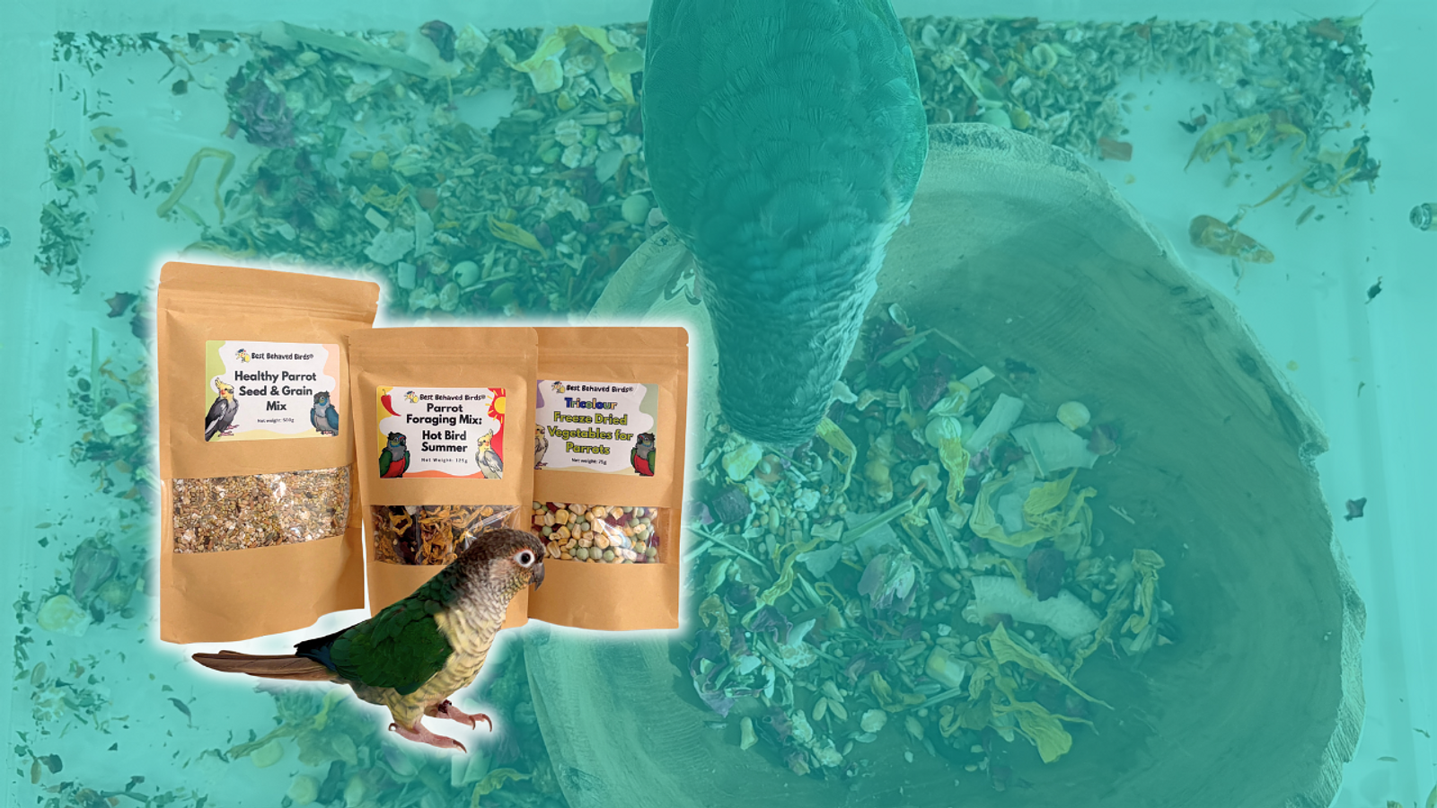 Cover for Healthy & Enriching Parrot Food Mixes