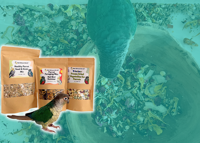 Cover for Healthy & Enriching Parrot Food Mixes
