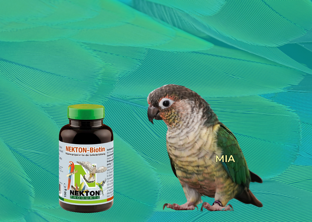 Biotin nekton