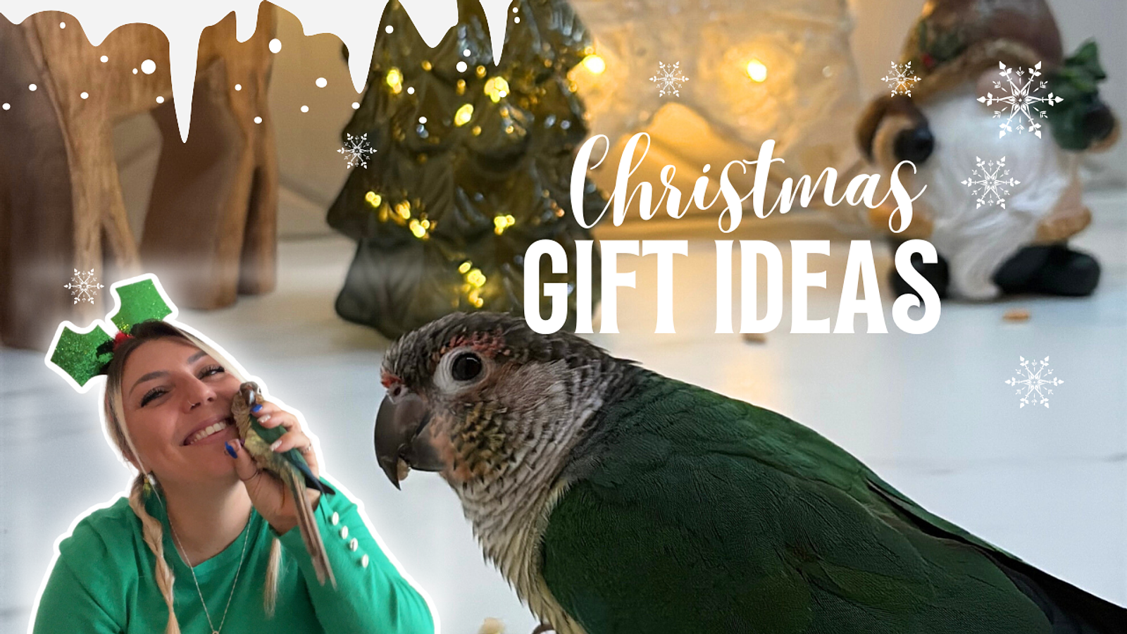 Cover for 🎄 Top 10 Christmas Gifts for Your Parrot (2025)