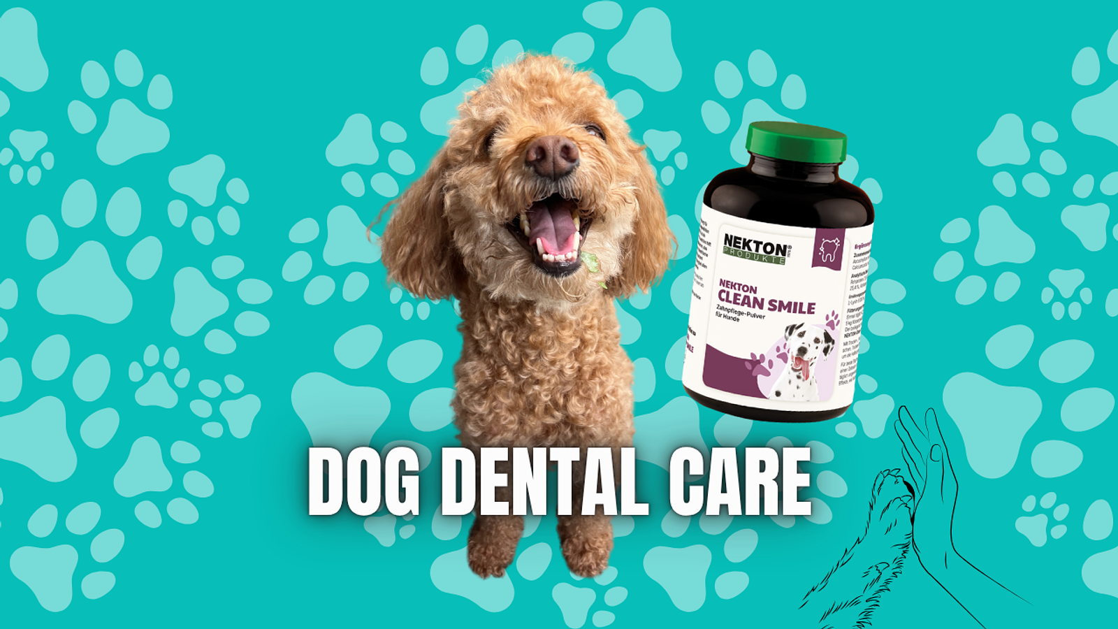 Cover for Keeping Your Dog’s Smile Healthy: Why Dental Care Matters