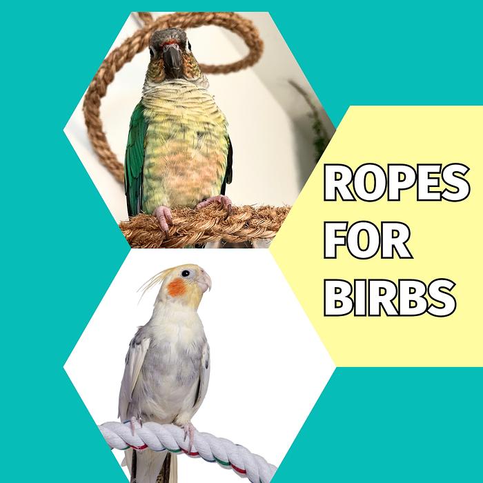 Cover for Safe Ropes for Birds