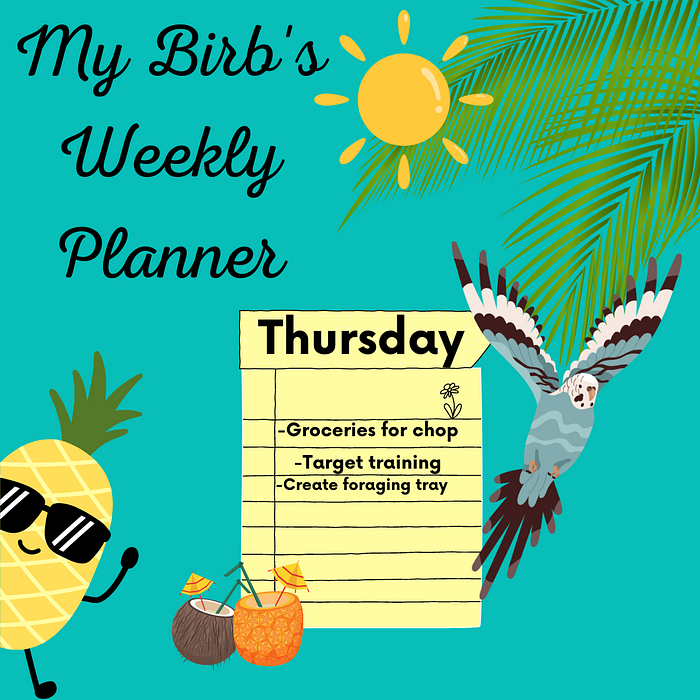 Cover for My Birb's Weekly Planner Summer Edition