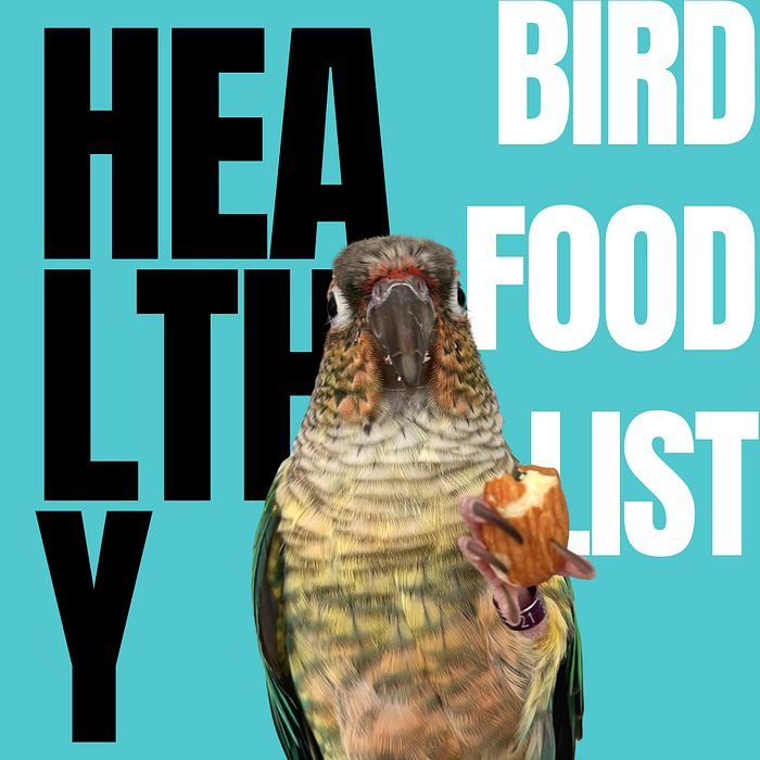 Cover for Safe Food List for Parrots