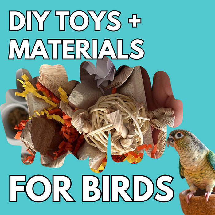 Cover for Safe & Cheap Toy Materials for Birds