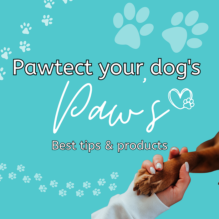 Cover for Pawtection for Pups