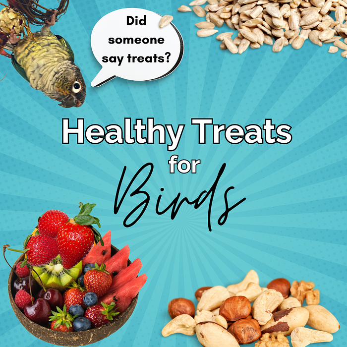 Cover for Healthy Treats for Parrots
