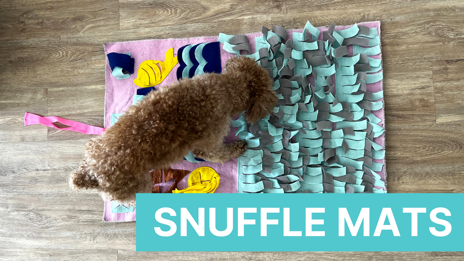Cover for Benefits Of A Snuffle Mat For Your Dog