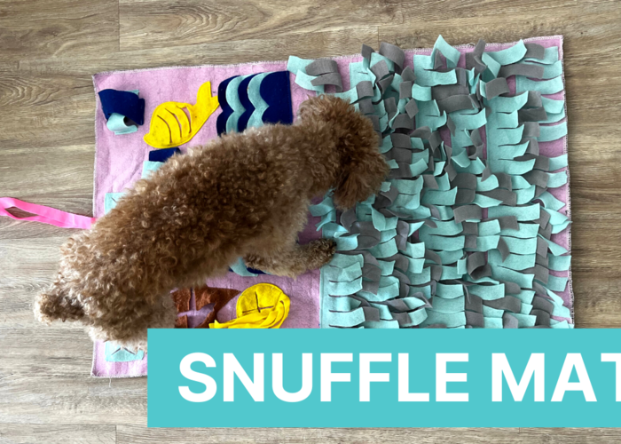 Cover for Benefits Of A Snuffle Mat For Your Dog