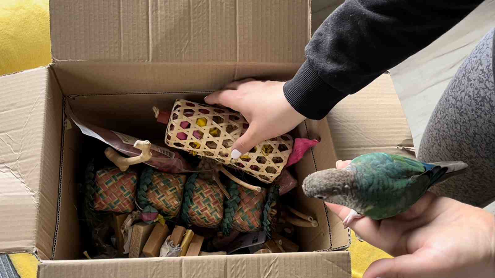 Cover for Parro-fect Gift Ideas for your Parrot