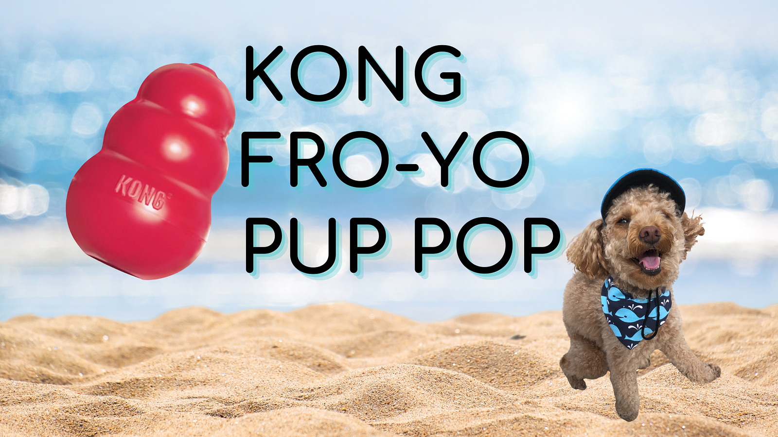 Cover for Kong FRO-YO Pup Pop!