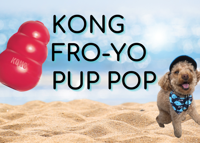 Cover for Kong FRO-YO Pup Pop!