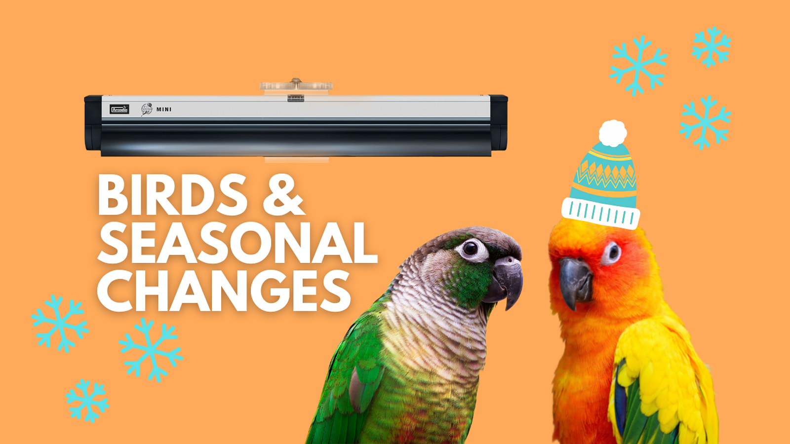 Cover for Tips to Keep Your Birds Warm During Winter
