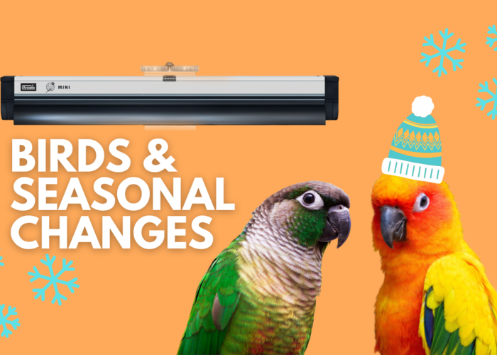 Cover for Tips to Keep Your Birds Warm During Winter