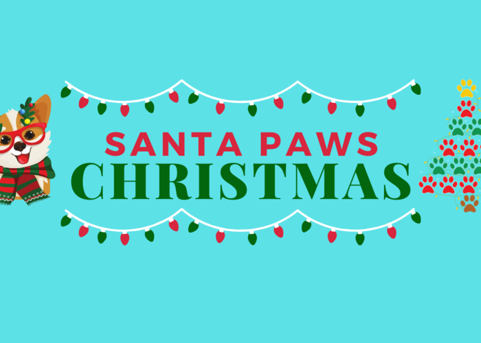 Cover for The Best Gifts for Dogs 