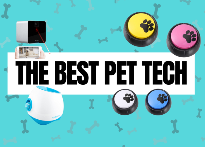 Cover for Canine Tech for Your Furry Friend's Safety and Well-being!