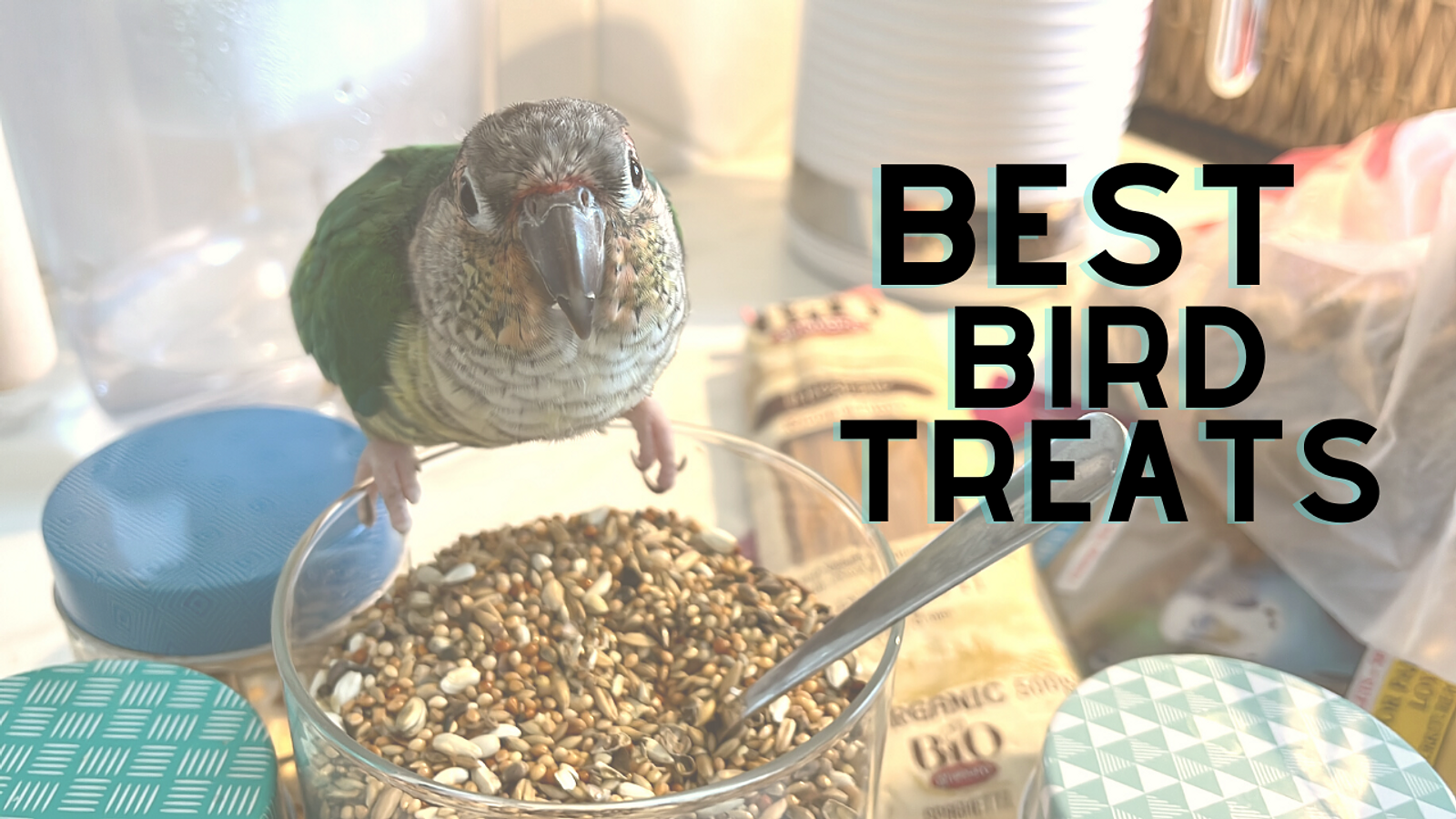 Cover for Best Healthy Treats for Your Parrot - With an Amazon Shopping list!