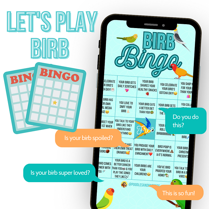 Cover for BIRB BINGO!