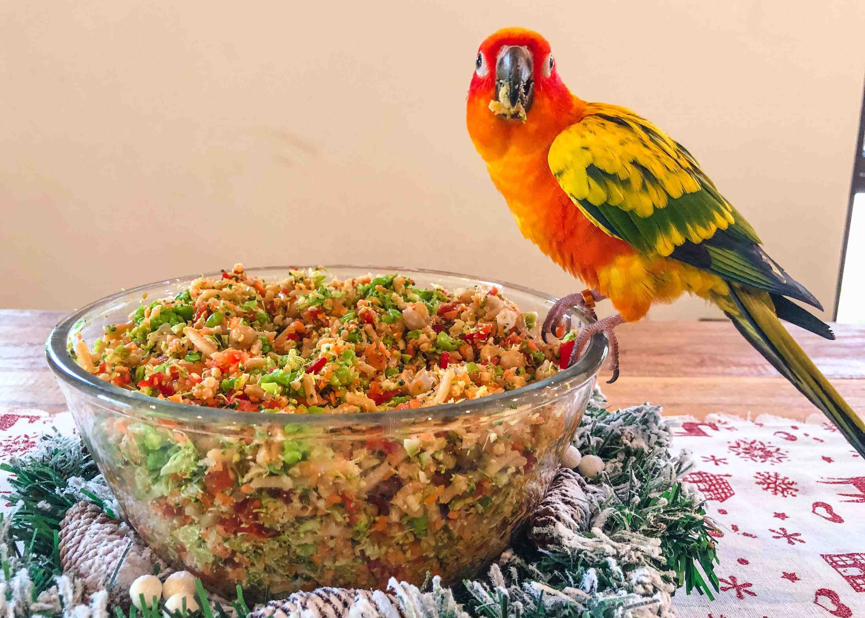 Christmas Chop For Parrots Poodles and Parrots